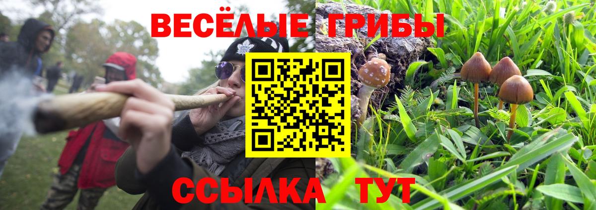 Псилоцибиновые грибы Cubensis Джанкой